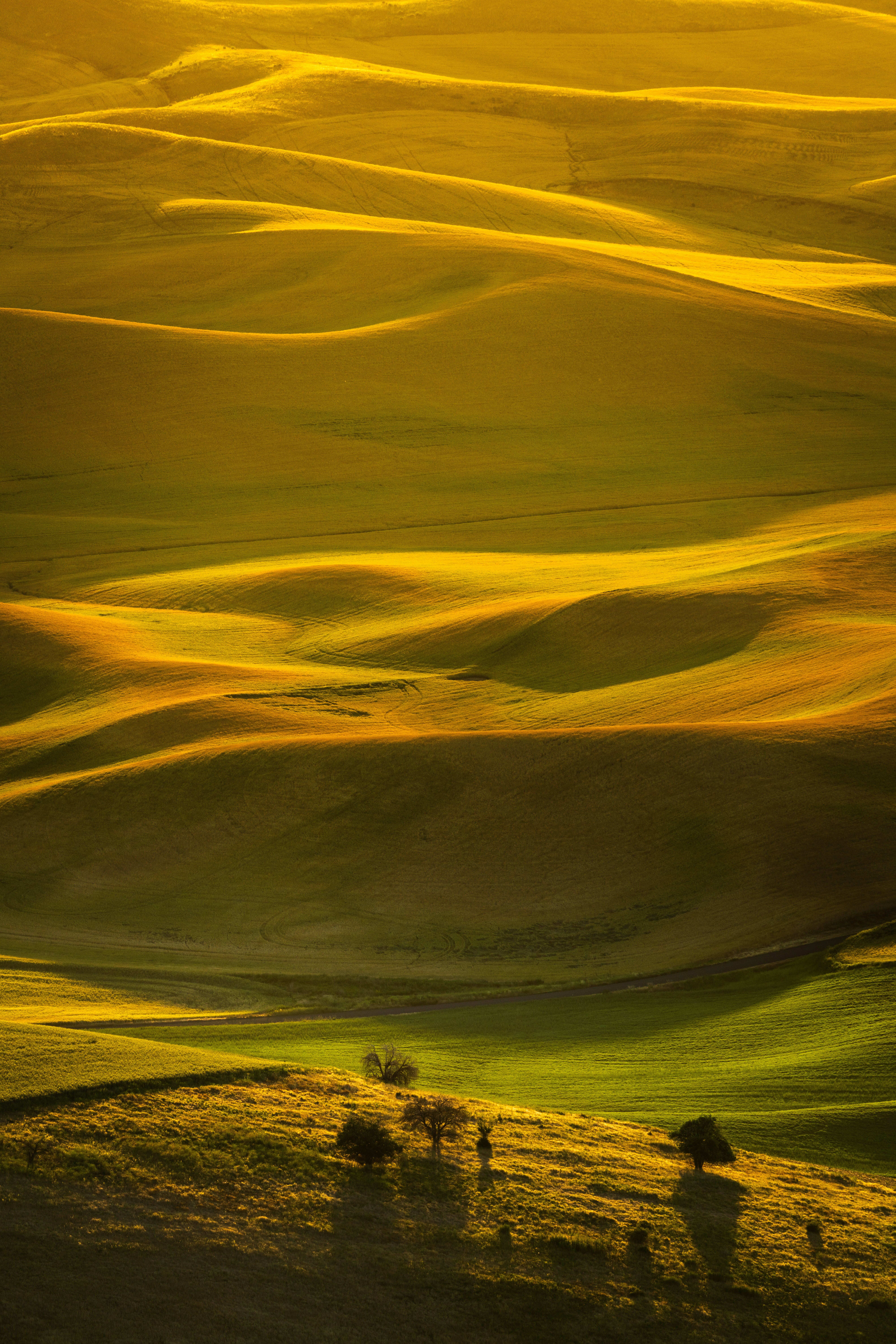a grassy field with trees in the distance