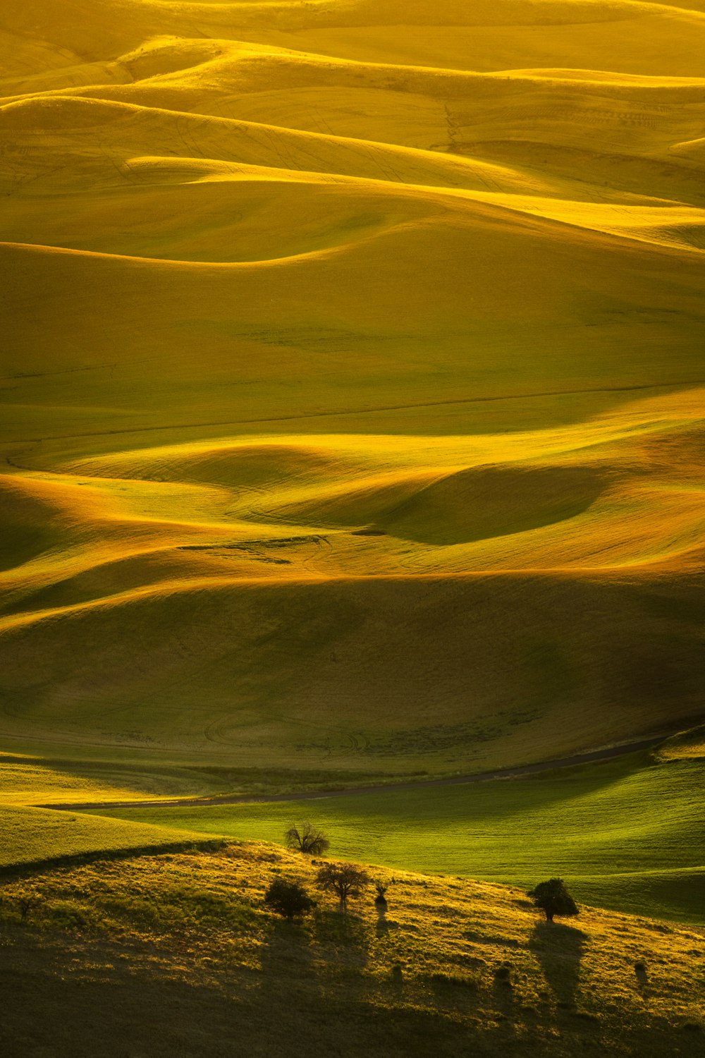 a grassy field with trees in the distance