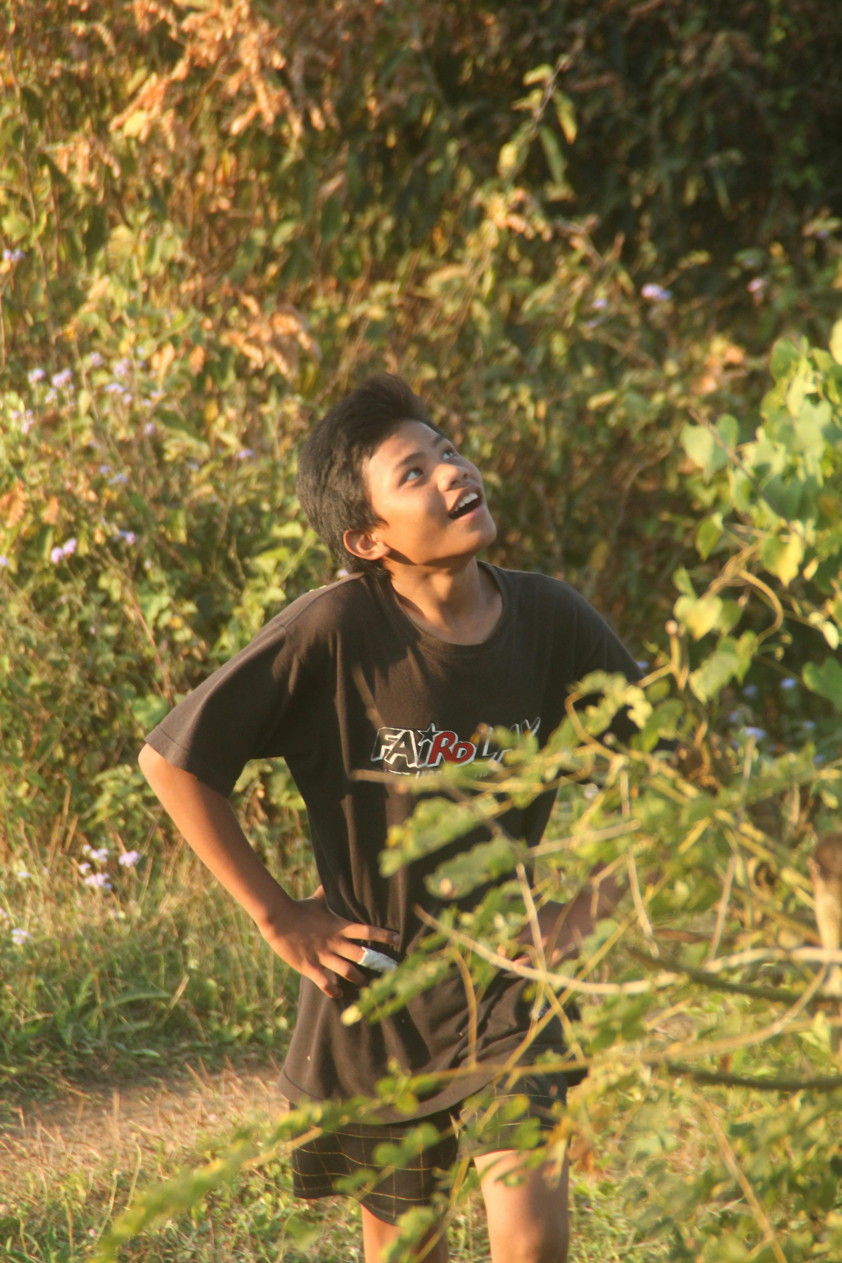 A boy is looking up at the beautiful evening sky