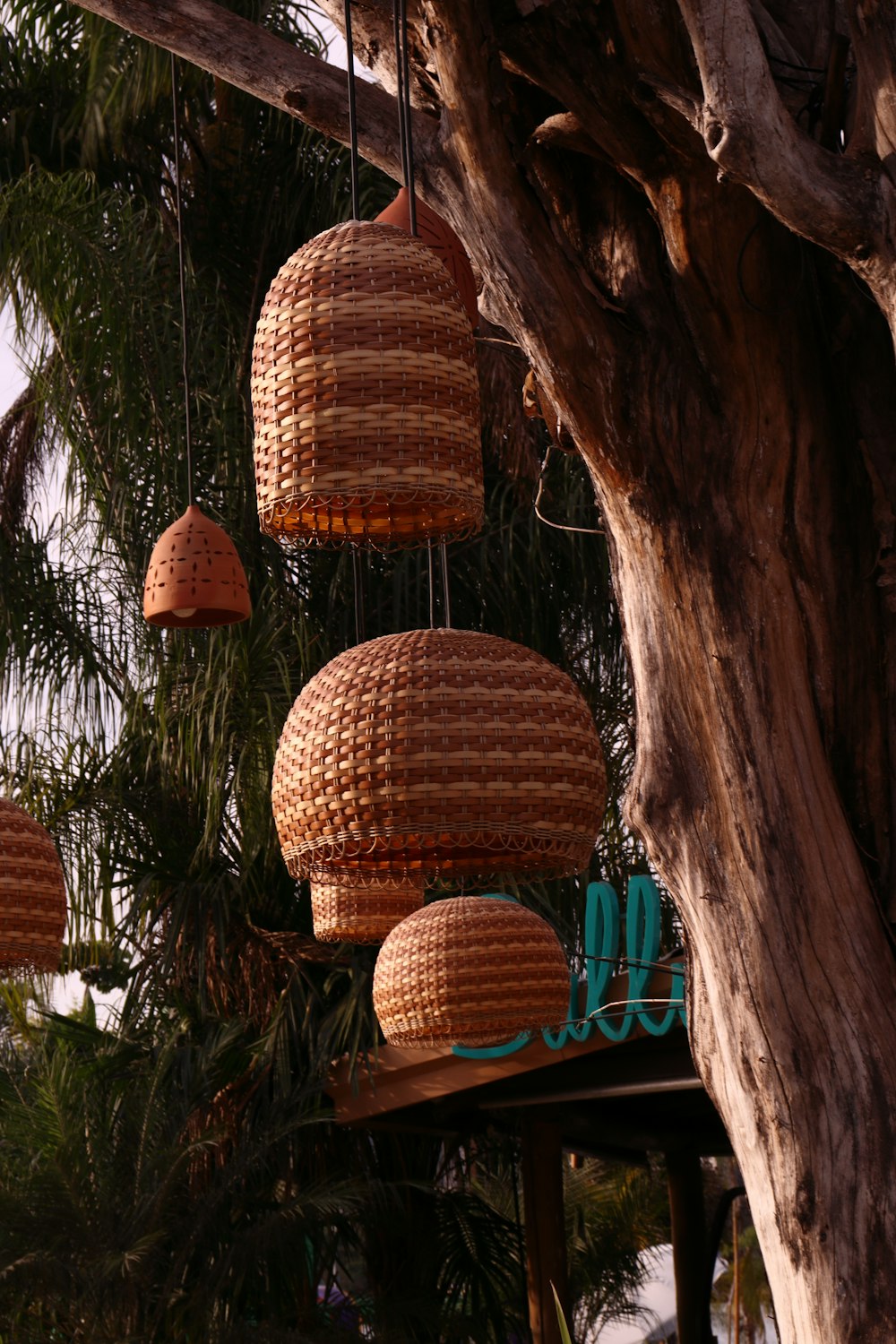 Un montón de cestas colgando de un árbol