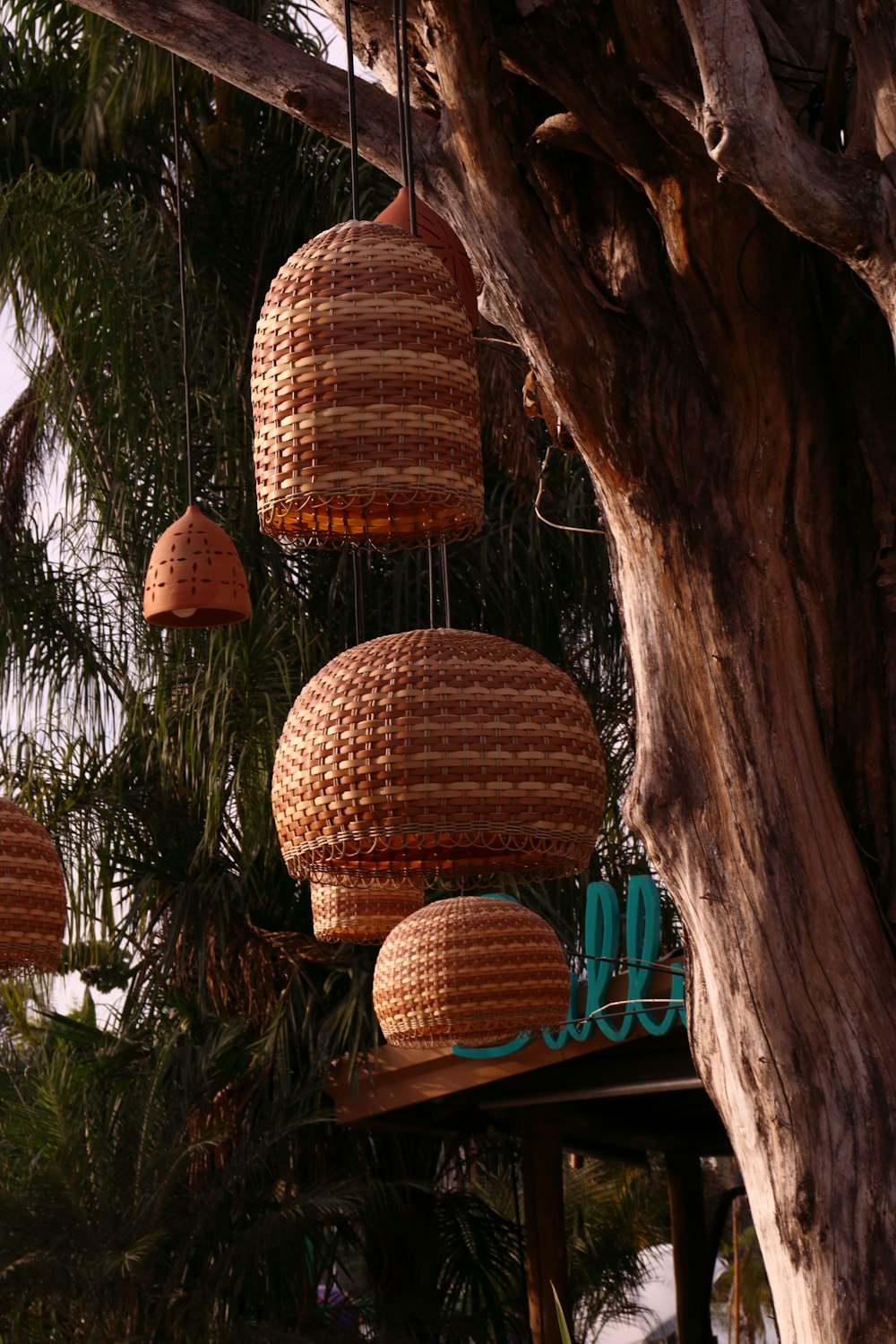 a bunch of baskets hanging from a tree