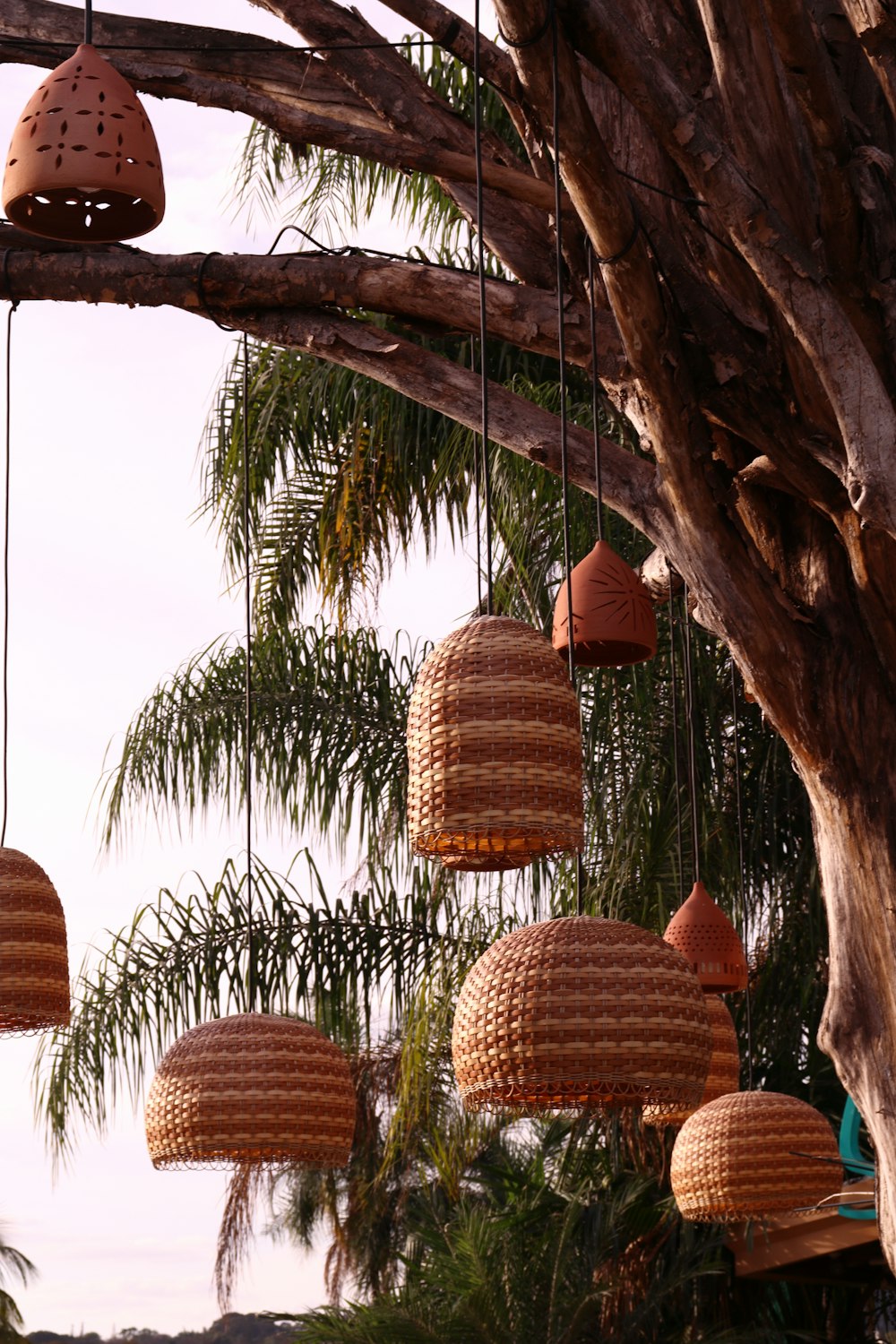 a bunch of baskets hanging from a tree