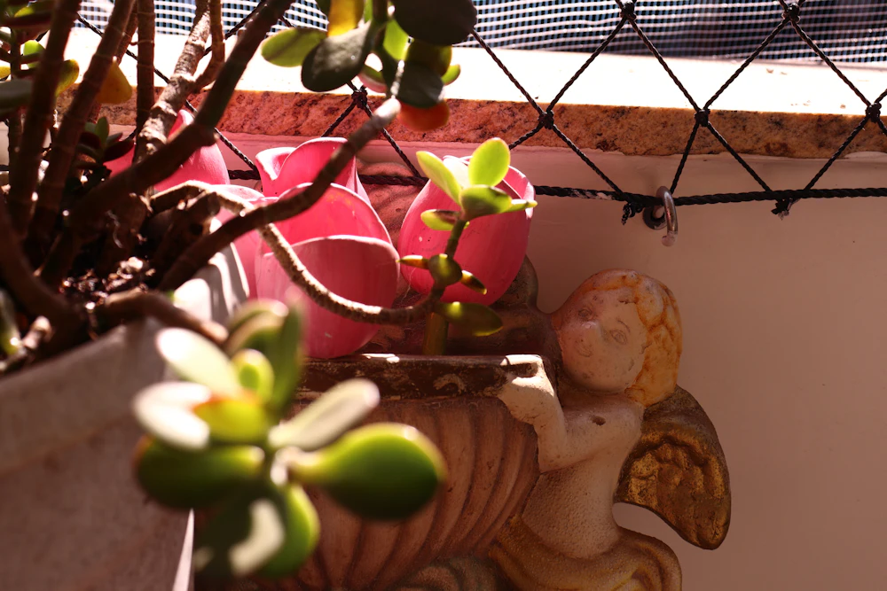 Home & Garden