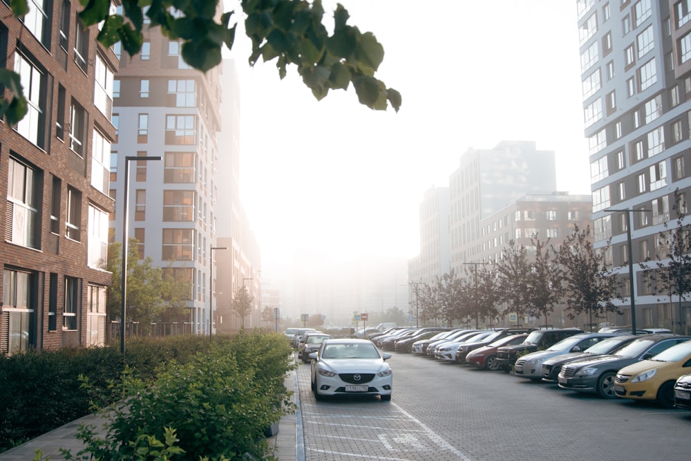 a row of parked cars on a city street