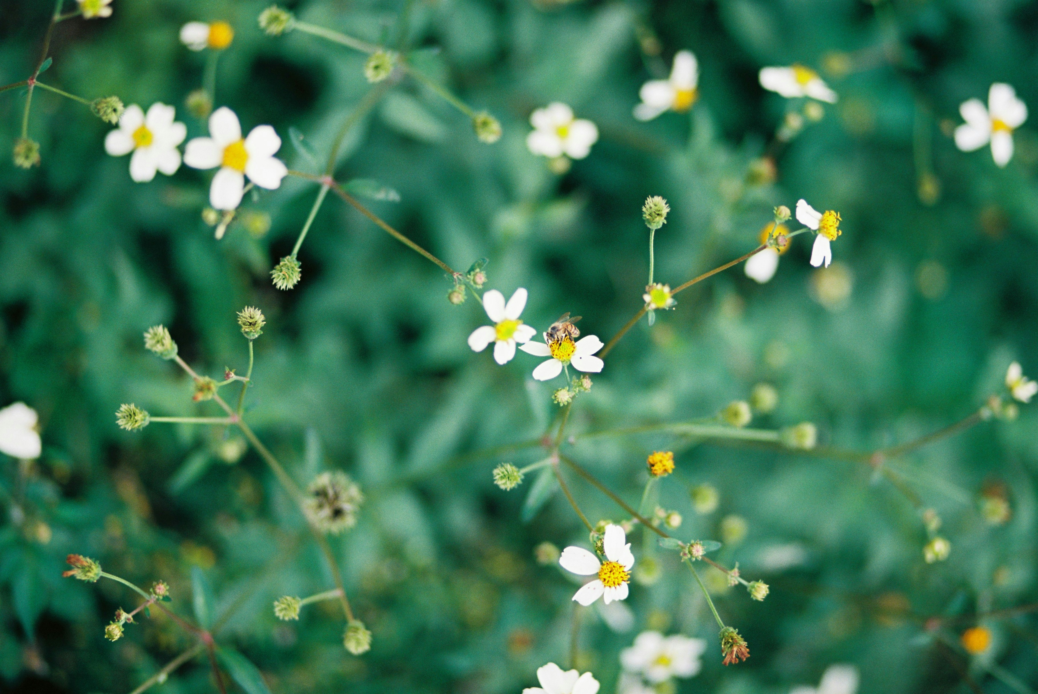 Photo by miguelheezg