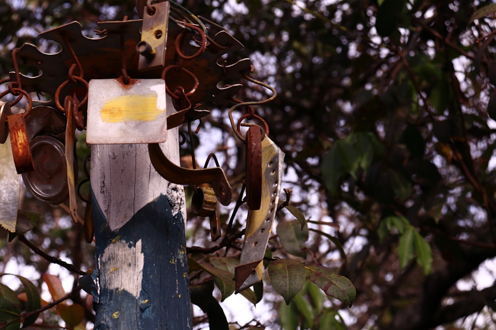 a rusted metal light hanging from a tree