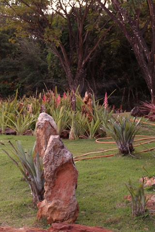 A serene garden setting with tall trees in the background and a variety of plants including aloe vera. Large, weathered boulders stand prominently, surrounded by lush green grass. Pink and red flowers add vibrant pops of color among the greenery, and an orange garden hose is visible winding through the plants.
