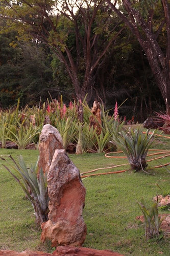 A serene garden setting with tall trees in the background and a variety of plants including aloe vera. Large, weathered boulders stand prominently, surrounded by lush green grass. Pink and red flowers add vibrant pops of color among the greenery, and an orange garden hose is visible winding through the plants.