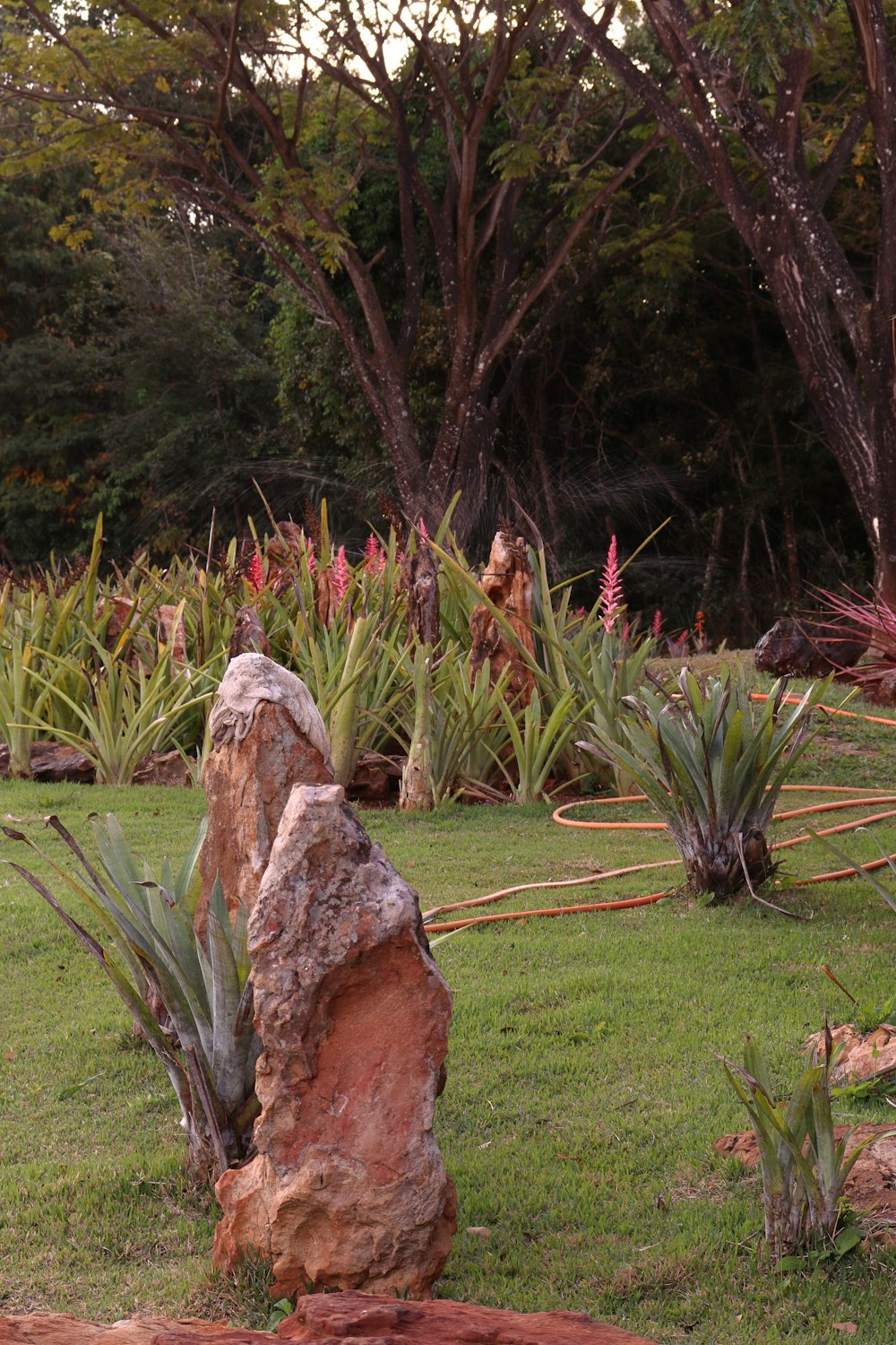 a large rock sitting in the middle of a lush green field