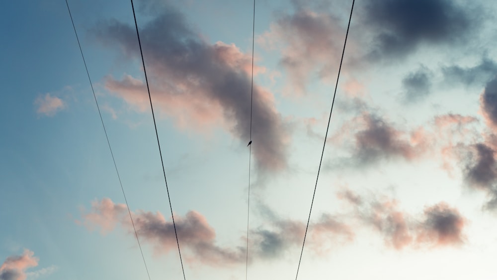 a bird is sitting on a wire in the sky