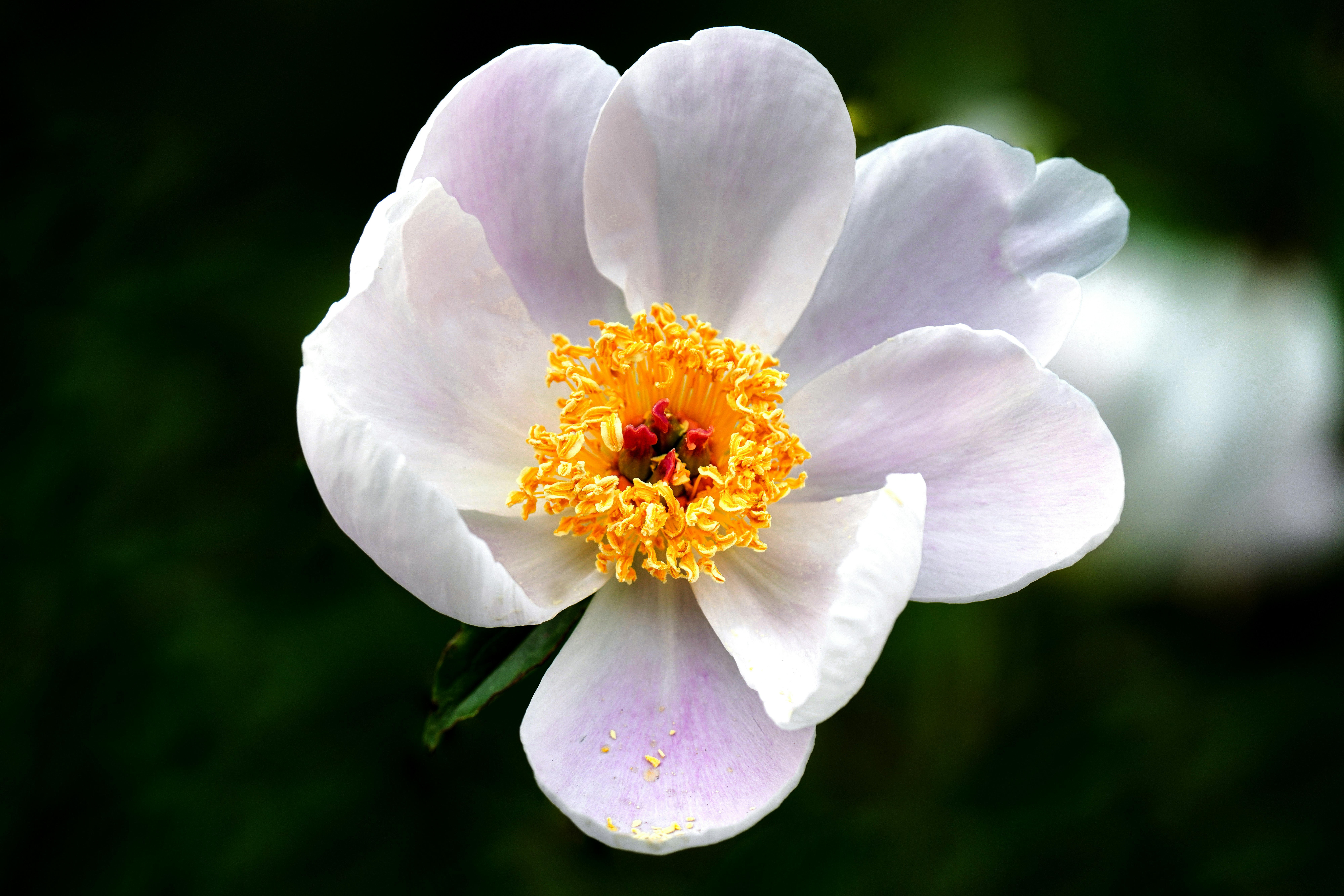 Photo by kim_dae_jeung