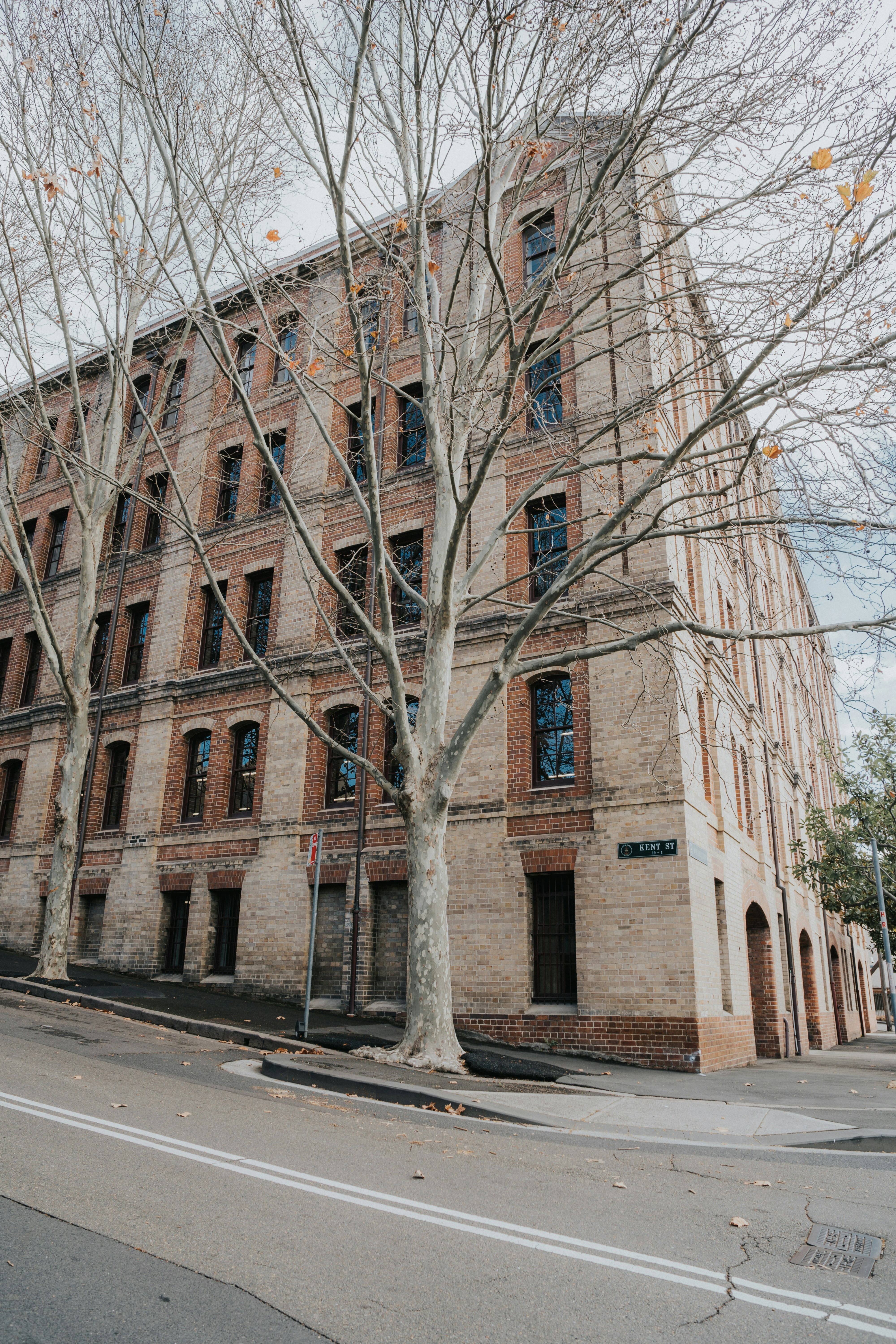 Photo by rjheiiflores