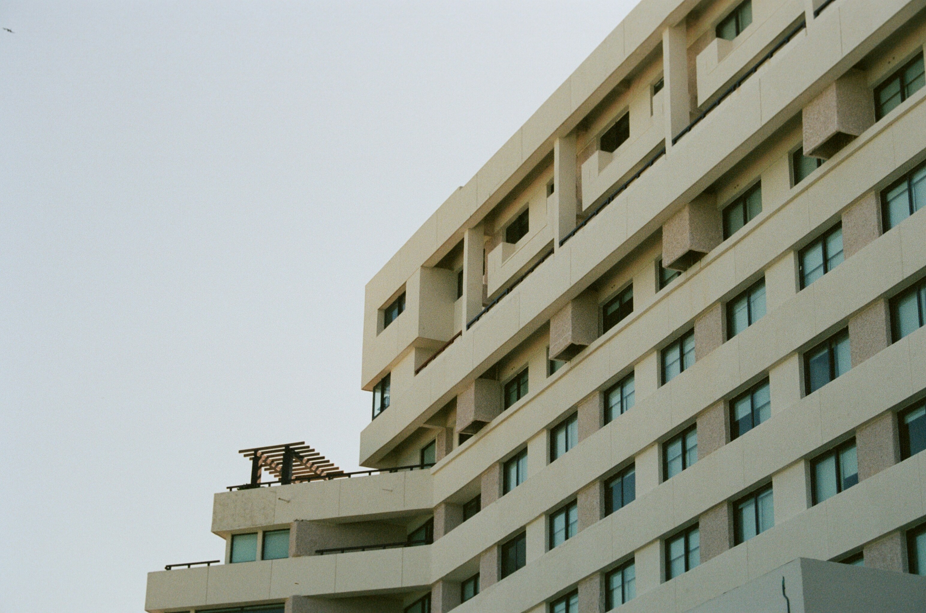 Photo by vicball