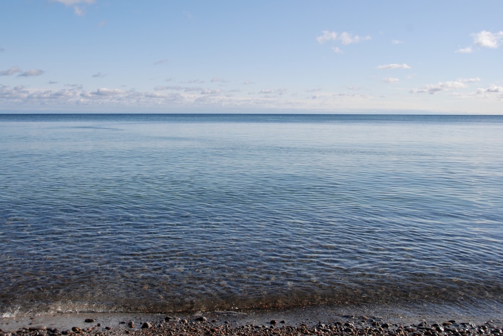 a body of water with rocks on the shore