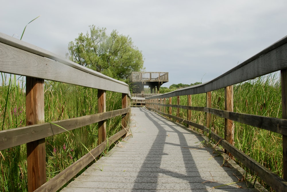 a wooden walkway leads to a tower in the distance
