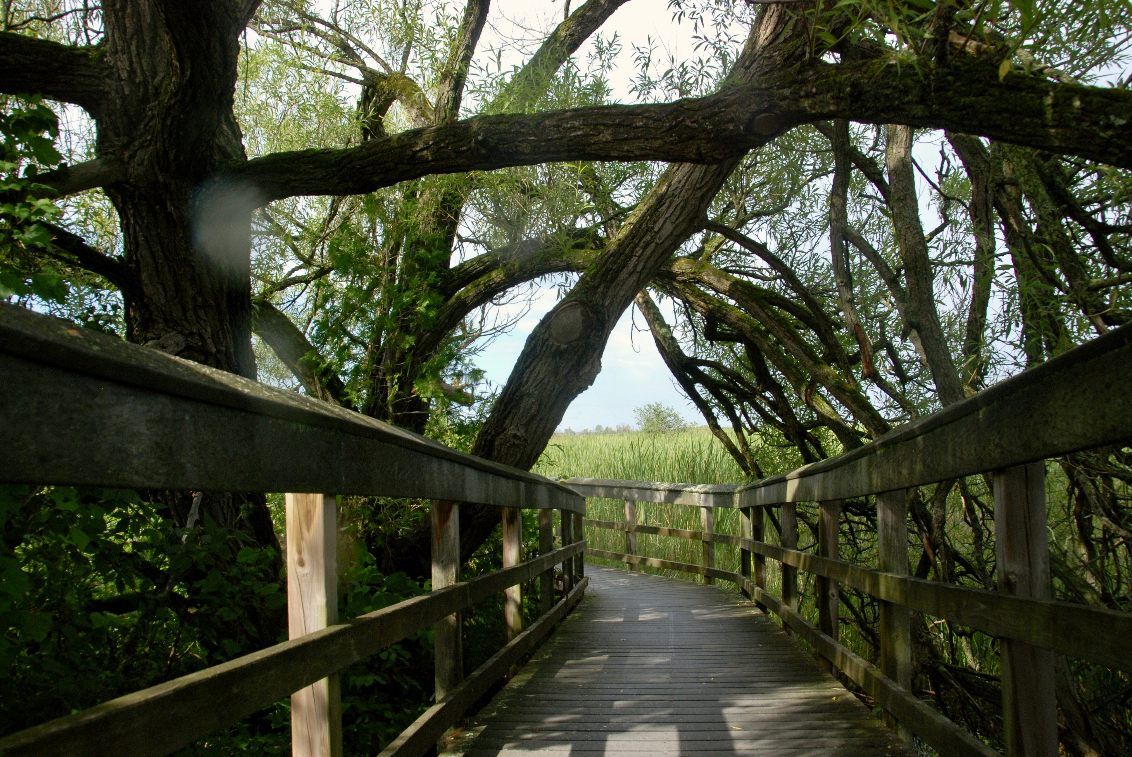 Image by Dong Zhu via Unsplash