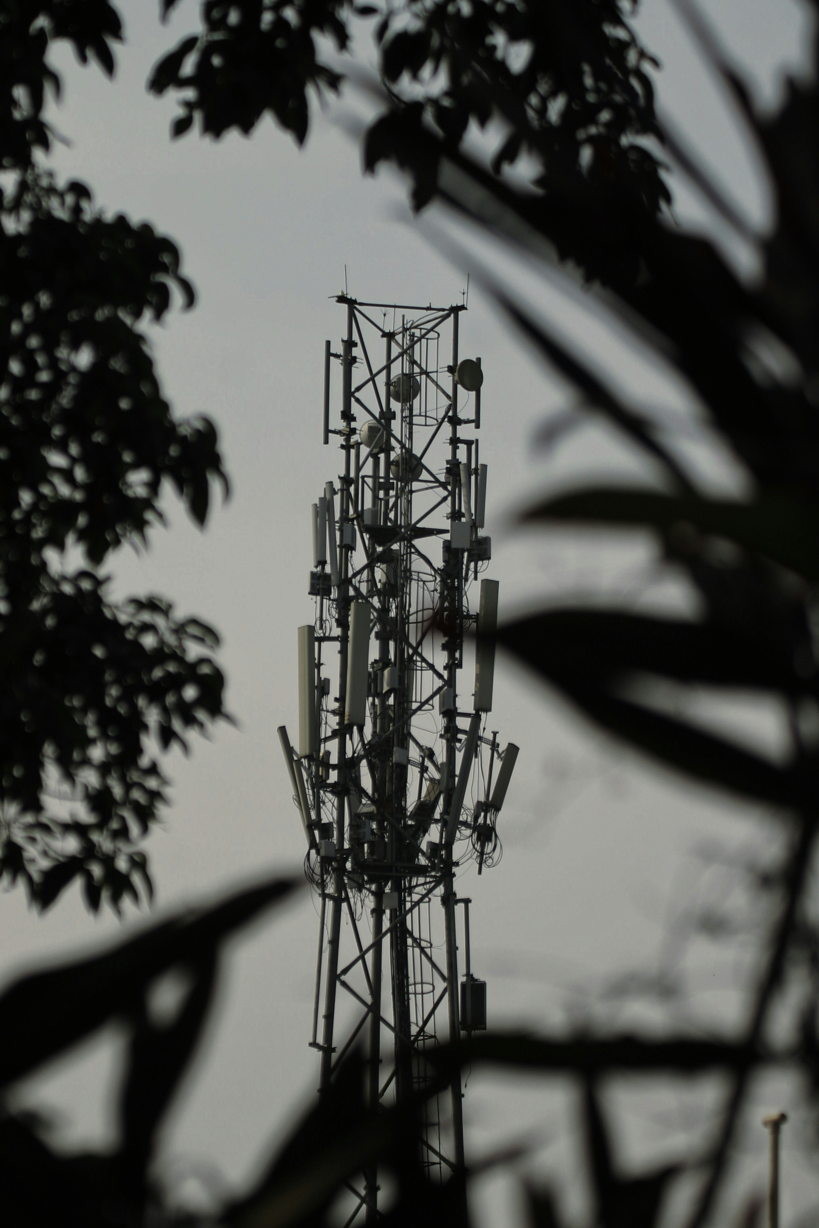 Photo by kushalmang1