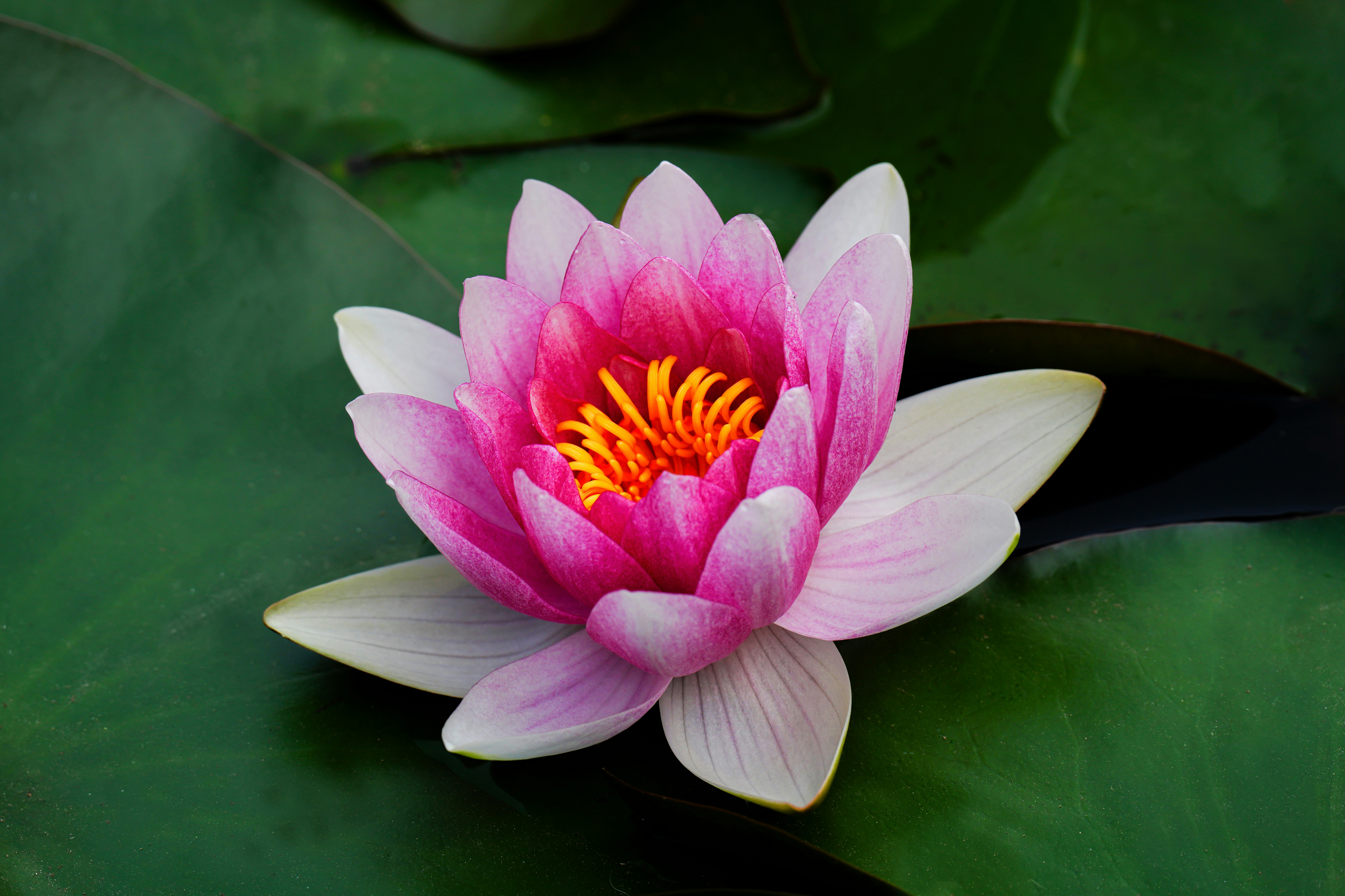 Photo by kim_dae_jeung