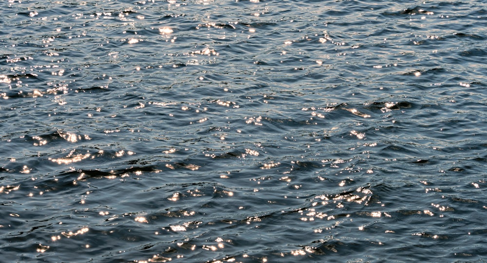 a close up of a body of water with bubbles