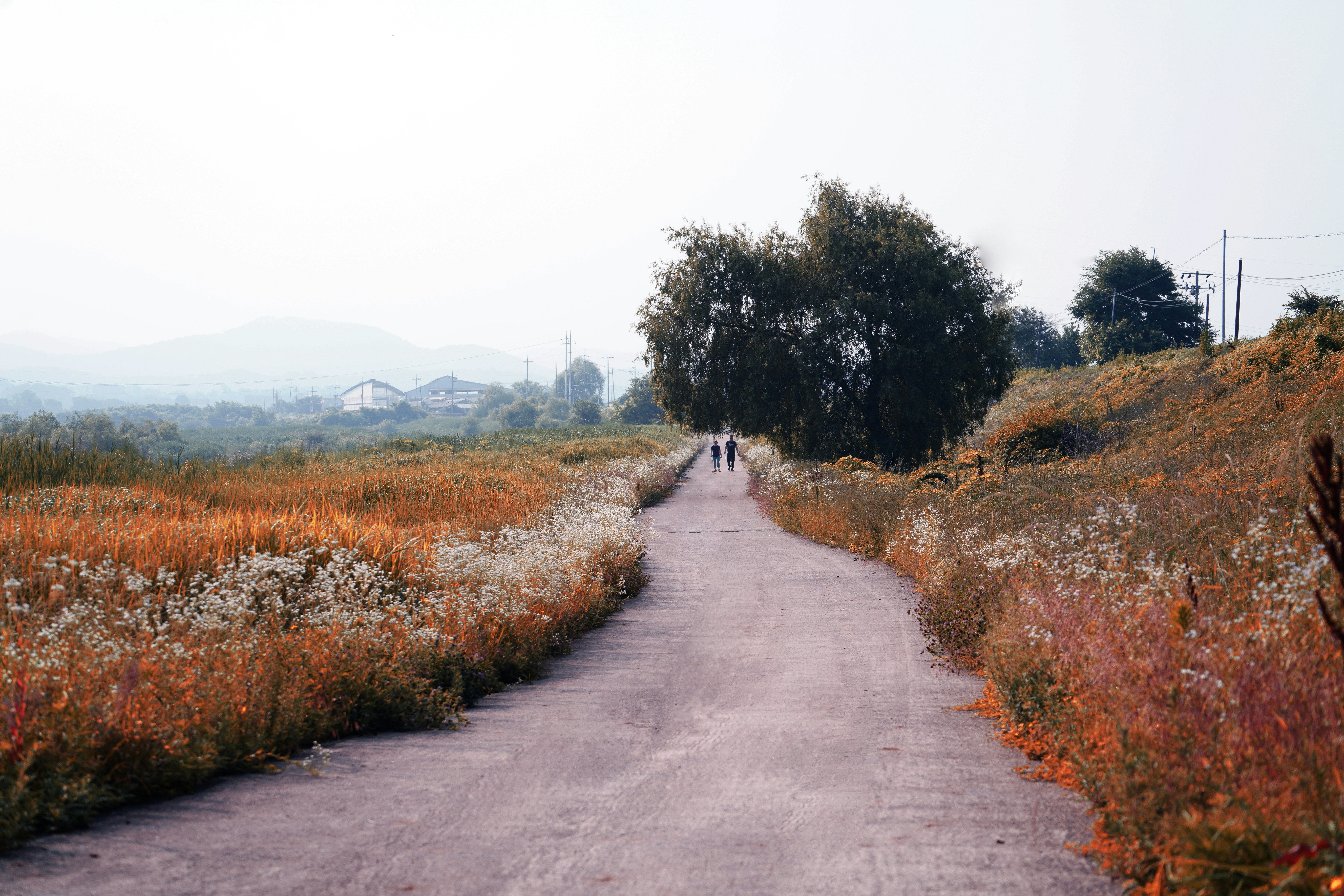 Photo by kim_dae_jeung