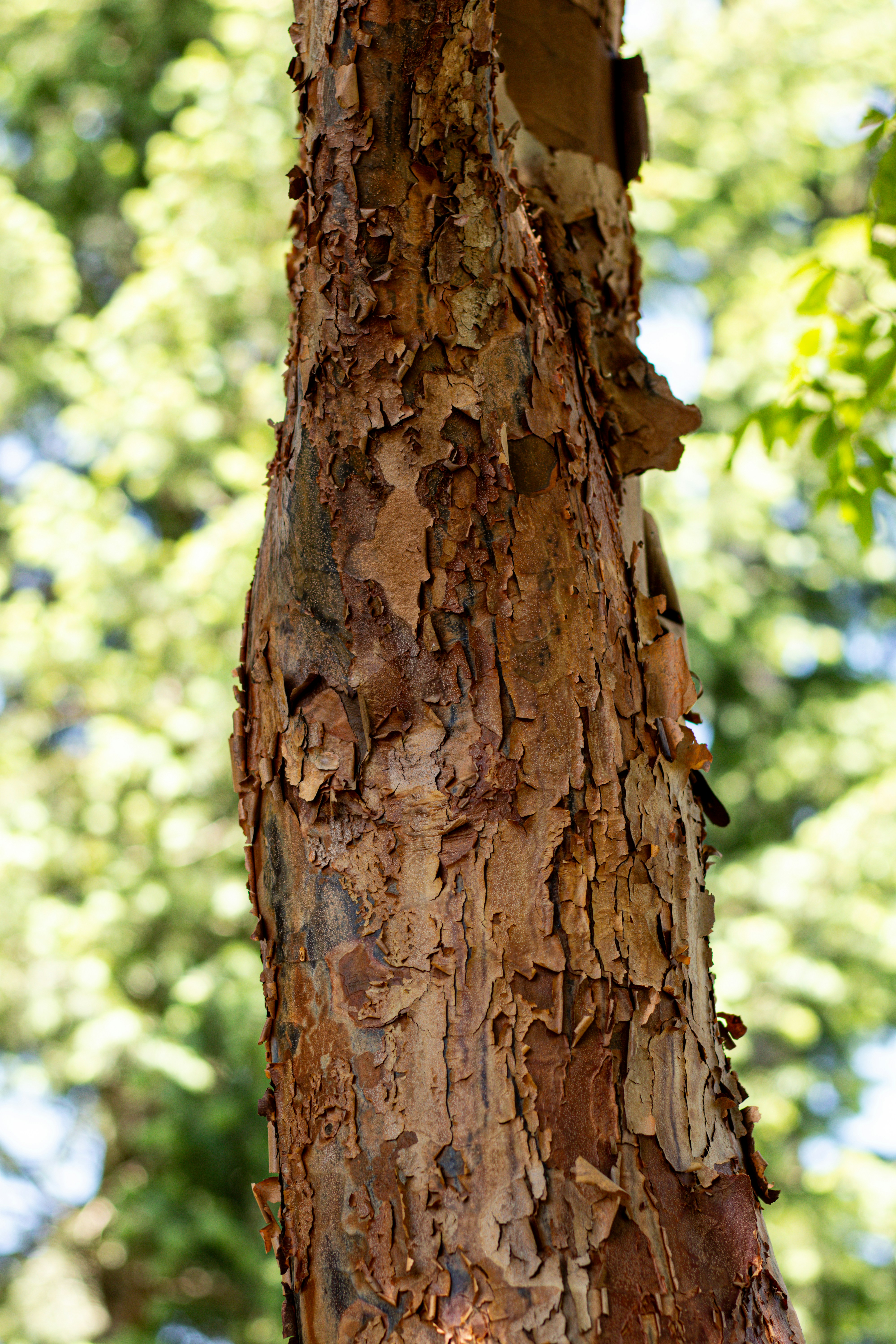 Photo by jdphotography