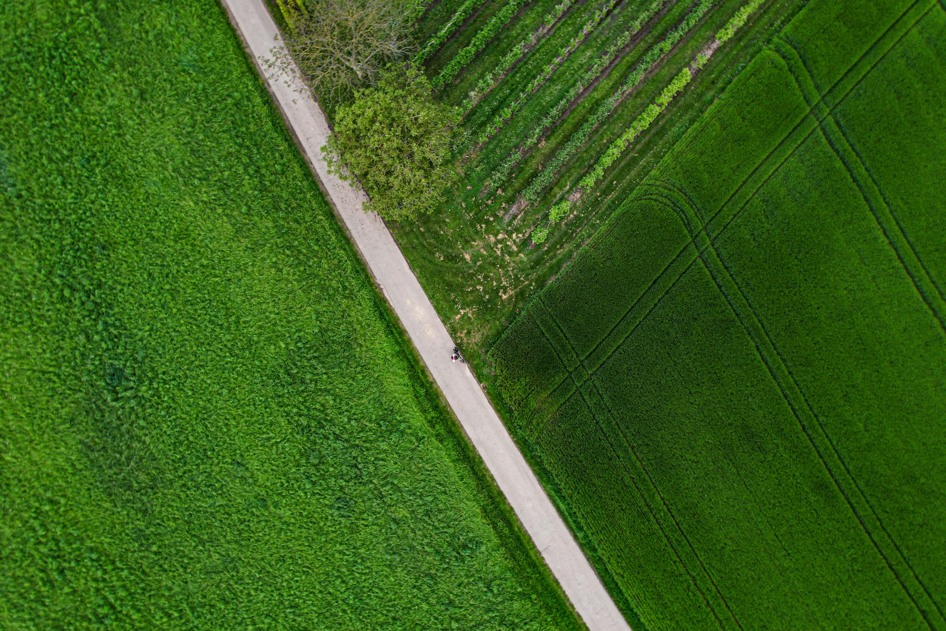 woman wearing yellow long-sleeved dress under white clouds and blue sky during daytime