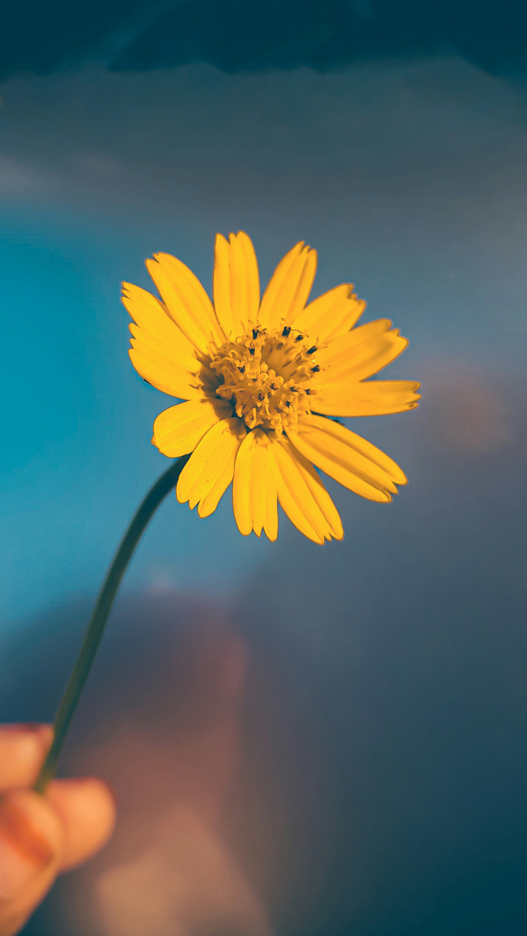 Photo by sba_saklaine