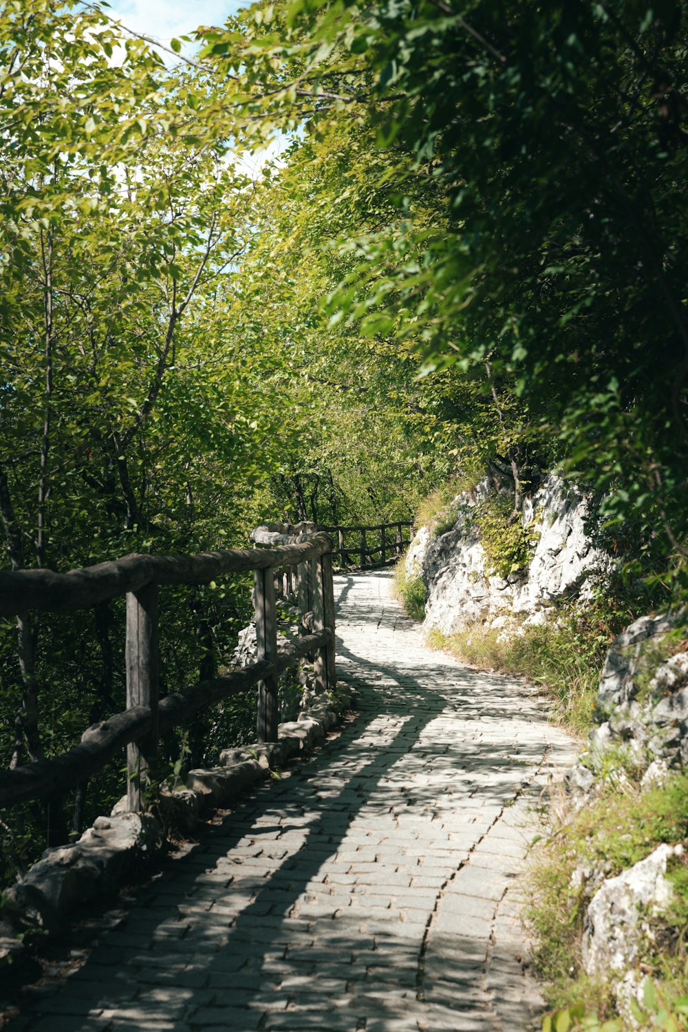 a stone path surrounded by trees and rocks