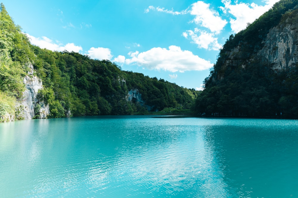 a large body of water surrounded by trees