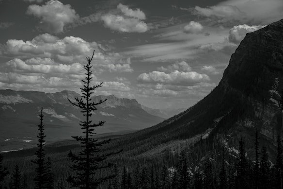 A mountainous landscape captures the beauty of nature with tall evergreen trees in the foreground and towering mountains in the background. Fluffy clouds are scattered across the sky, adding depth and texture to the scene.