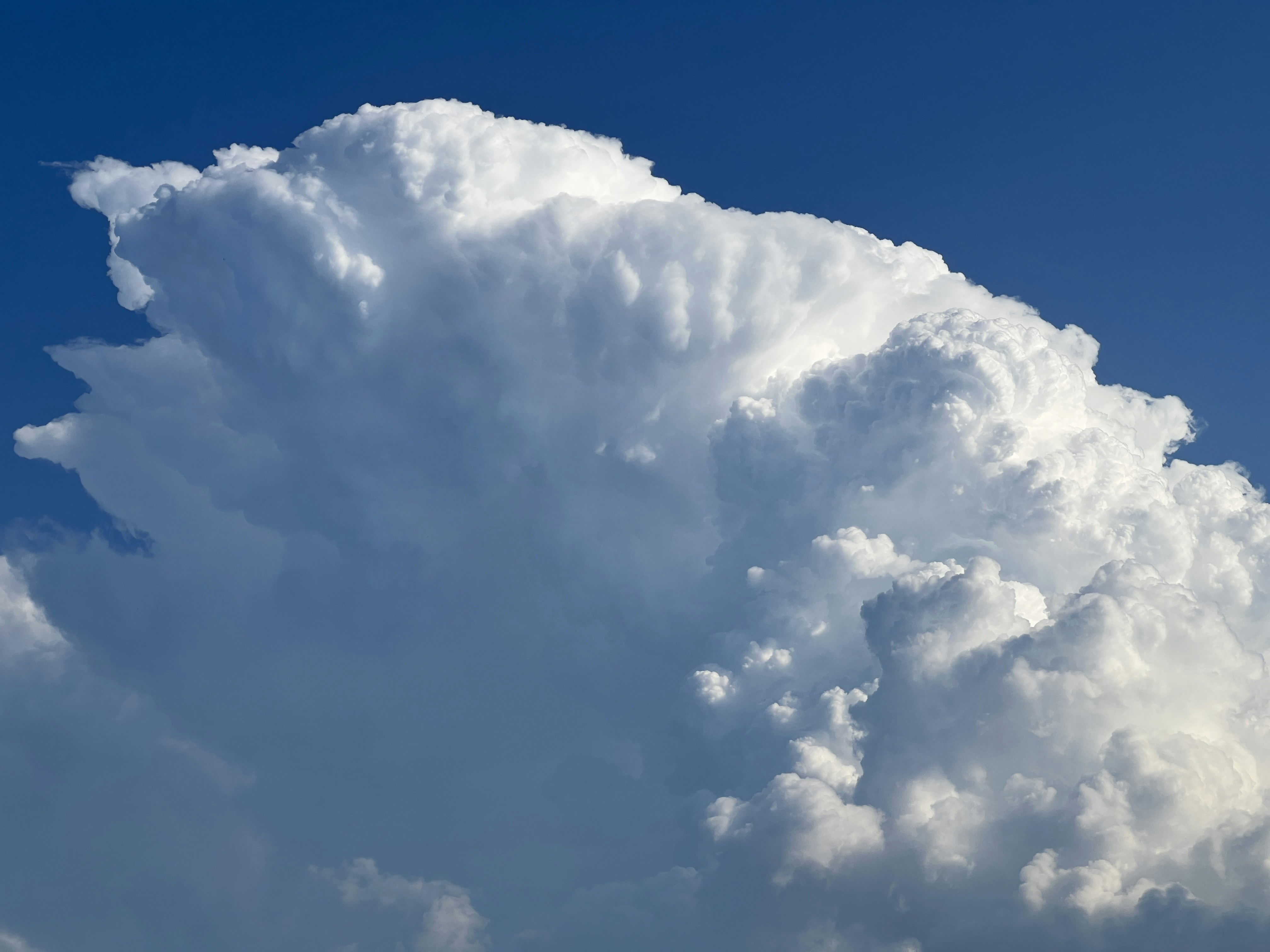 Photo by kacha_kacha