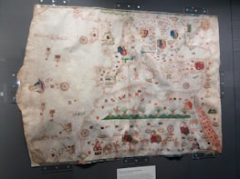An ancient, intricately designed map displayed in a glass case, featuring detailed illustrations of various geographical and representational elements. The map includes ornamental compass roses, flags, ships, and various mythical creatures scattered throughout. The paper appears aged, with visible discoloration and creases.