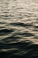 A calm body of water with gentle ripples under soft lighting, creating a serene and tranquil atmosphere.