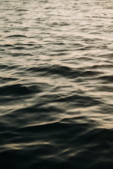 A calm body of water with gentle ripples under soft lighting, creating a serene and tranquil atmosphere.