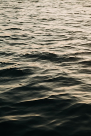 A calm body of water with gentle ripples under soft lighting, creating a serene and tranquil atmosphere.