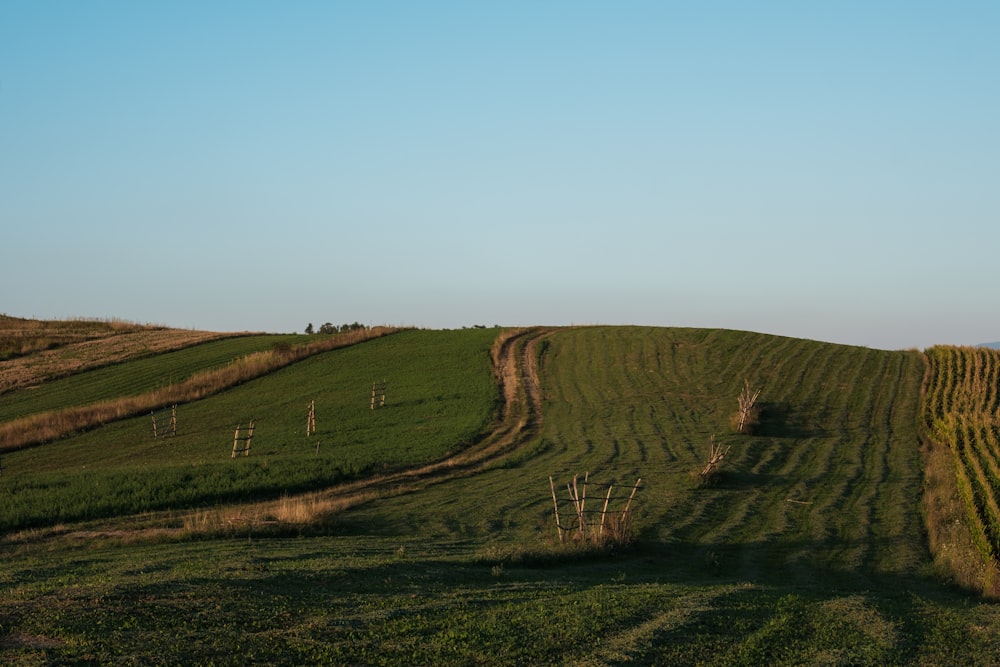 a large field with a dirt road going through it