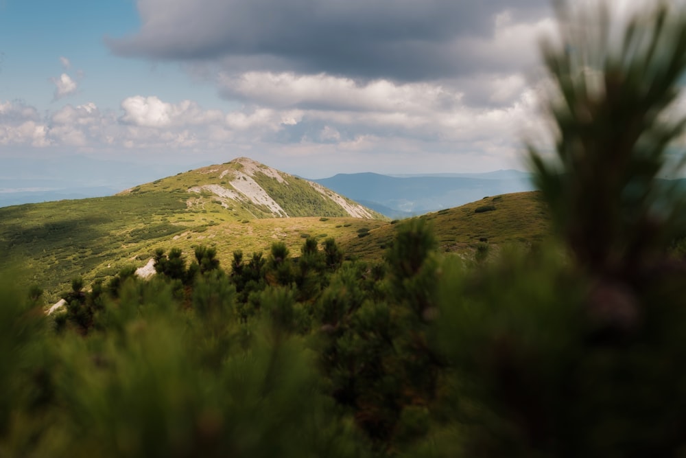 a view of a mountain from a distance