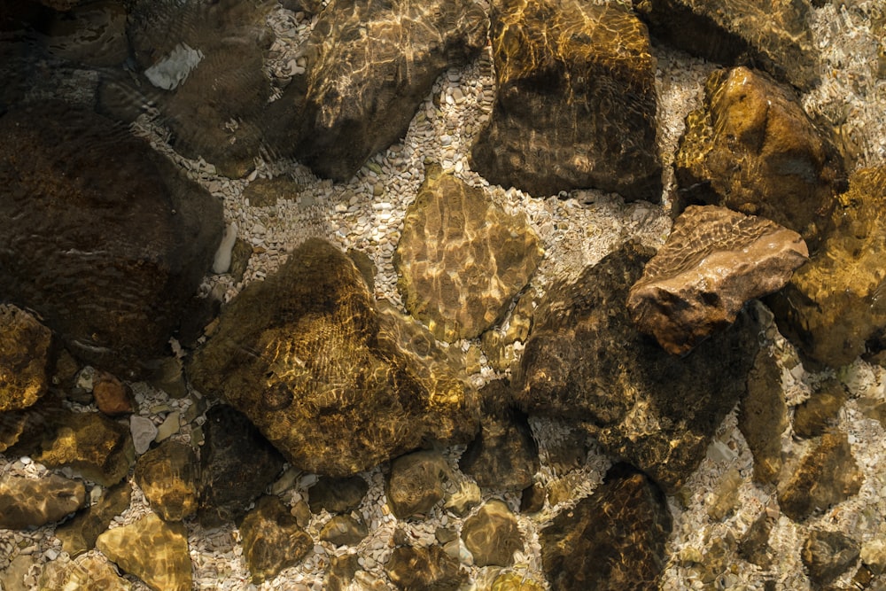 a close up of rocks and dirt on a wall