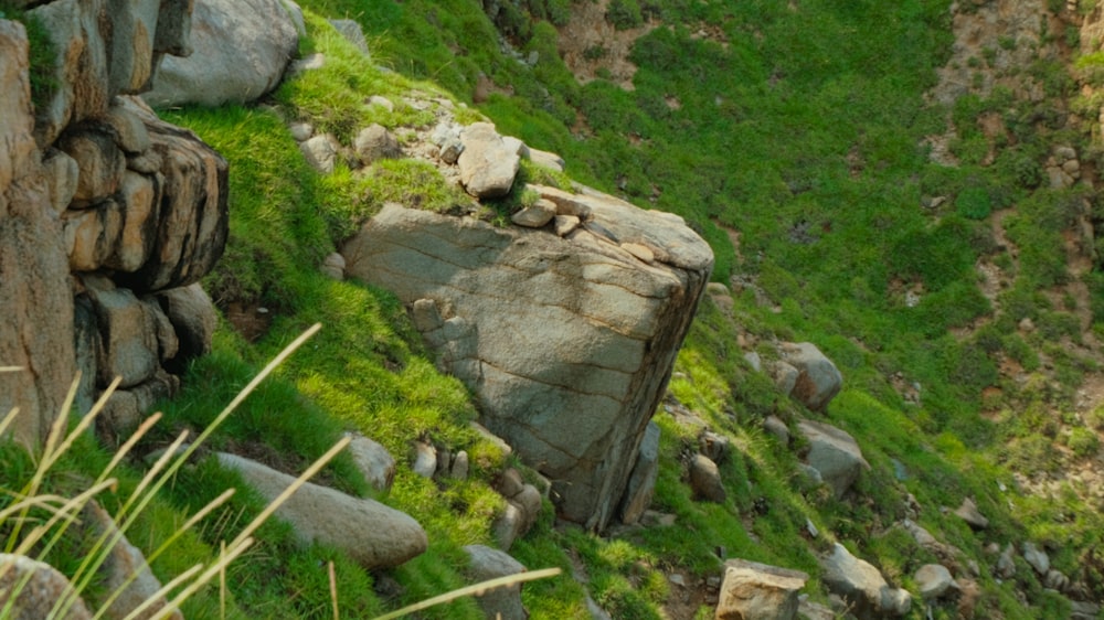 a rocky cliff with grass growing on it