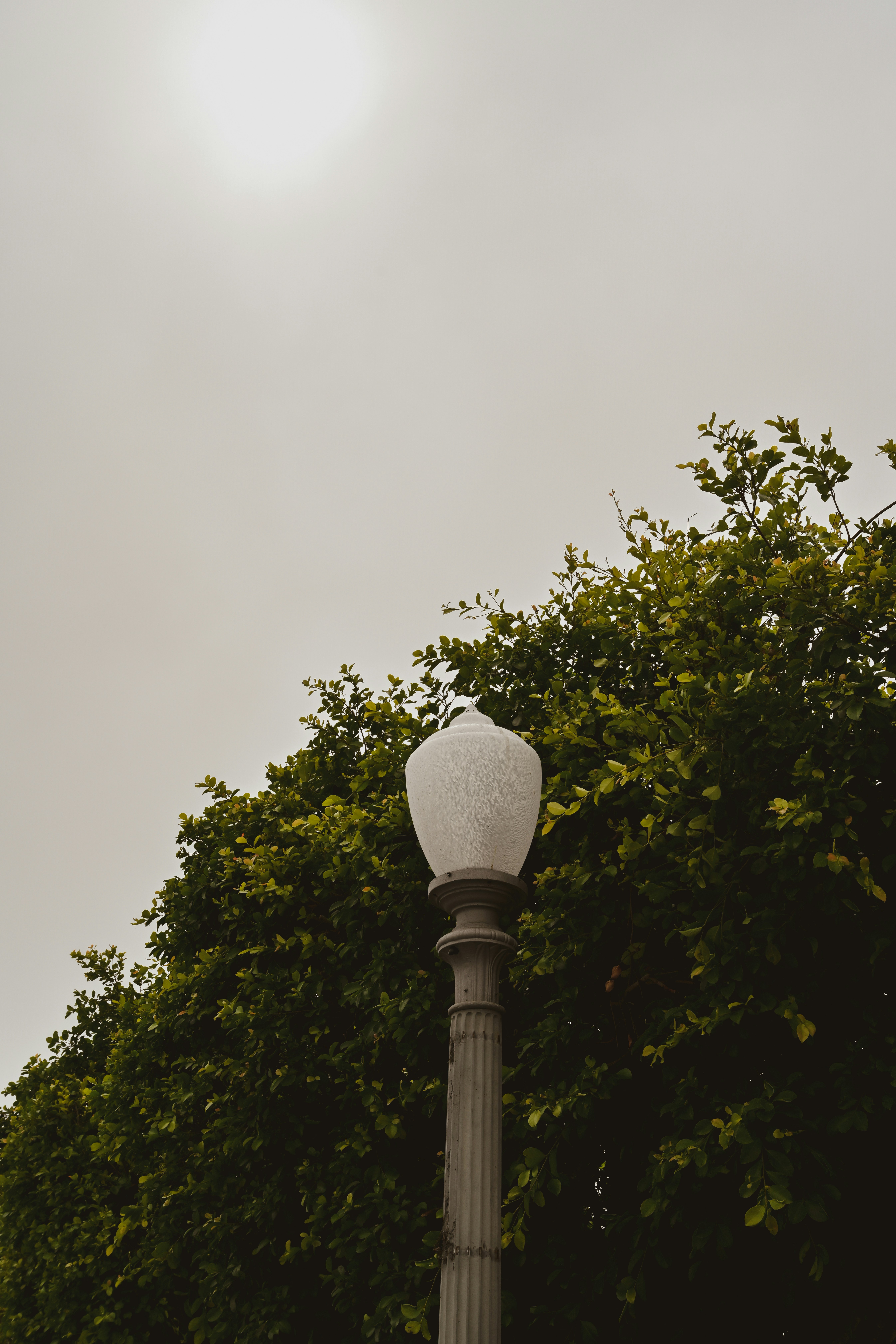 Photo by faitheraser