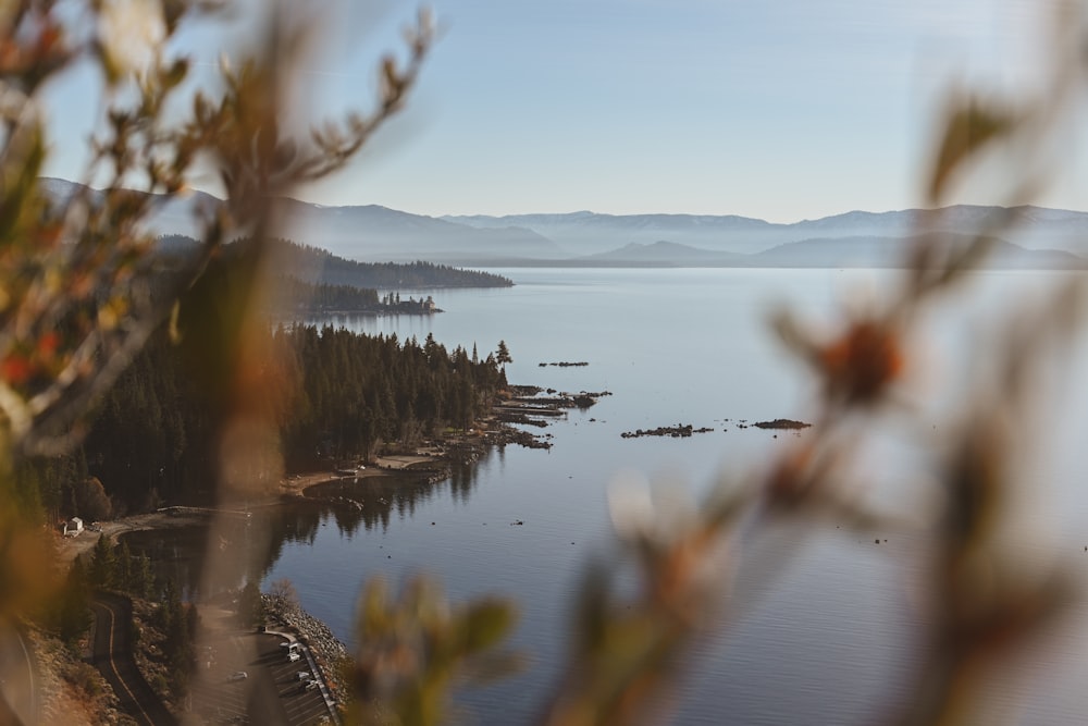 a view of a body of water with trees in the foreground