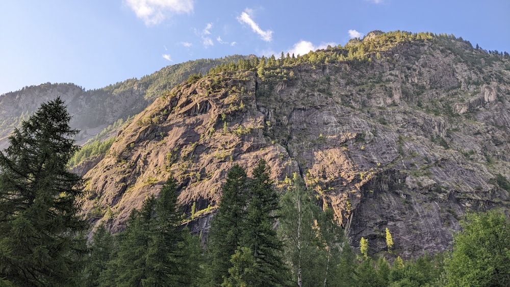 a large mountain with a forest below it