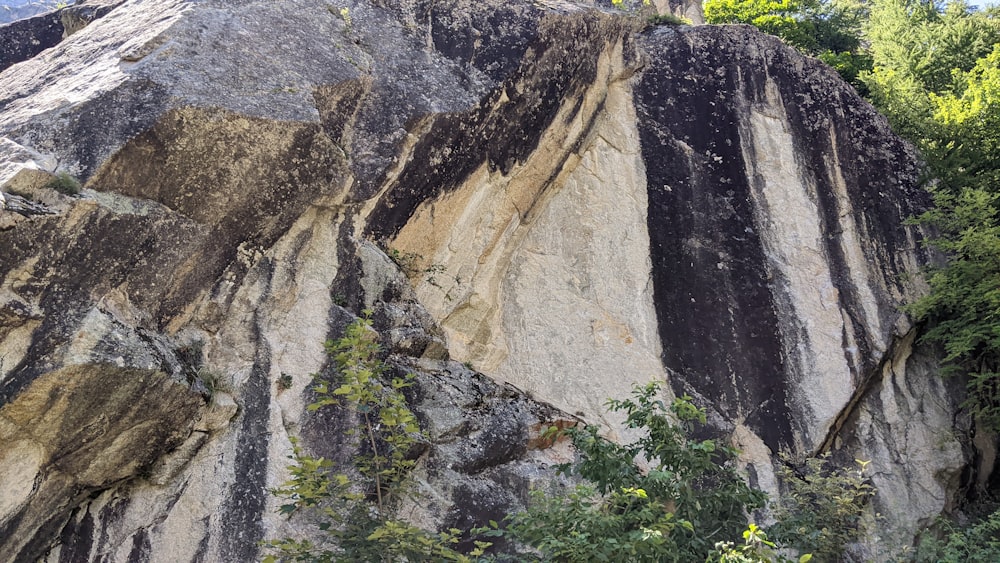 a man standing on top of a large rock next to a forest