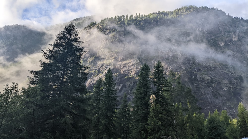 a mountain covered in clouds and trees