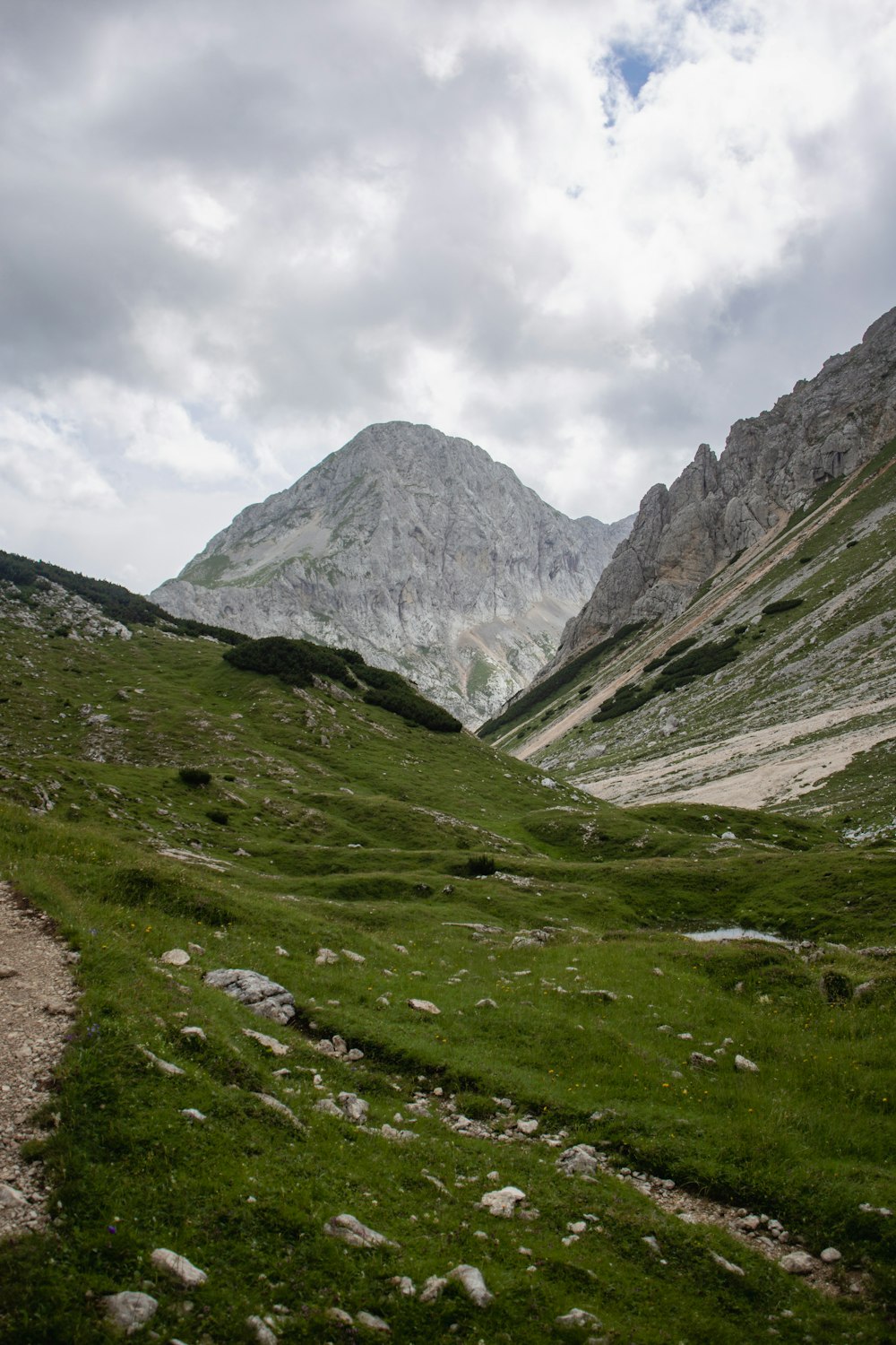 a grassy field with a mountain in the background