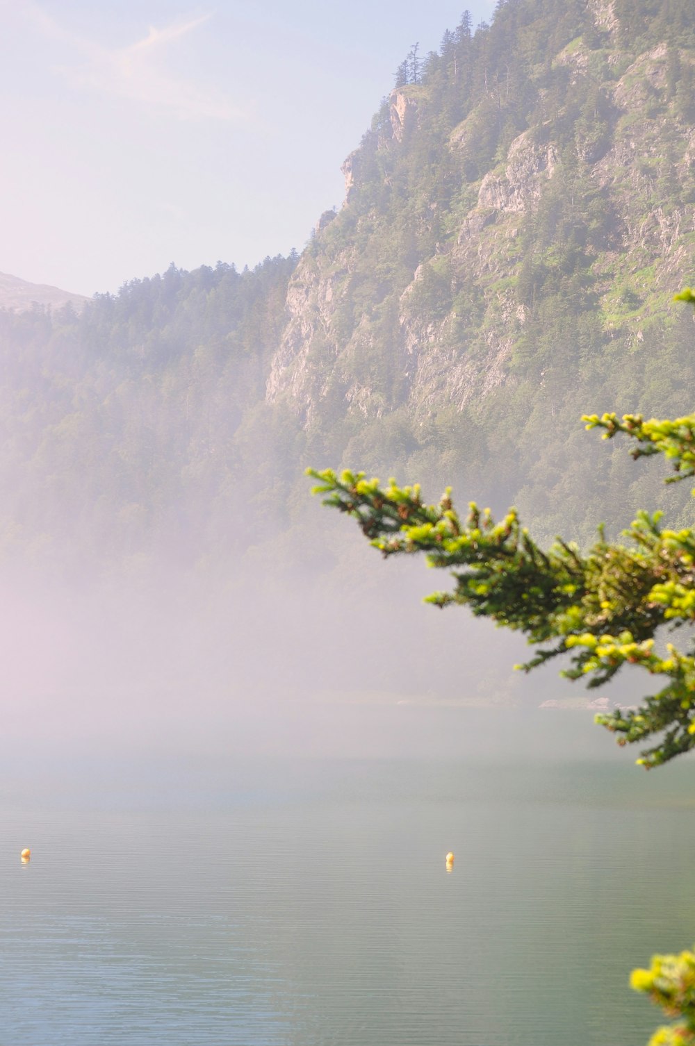 a body of water surrounded by a lush green hillside