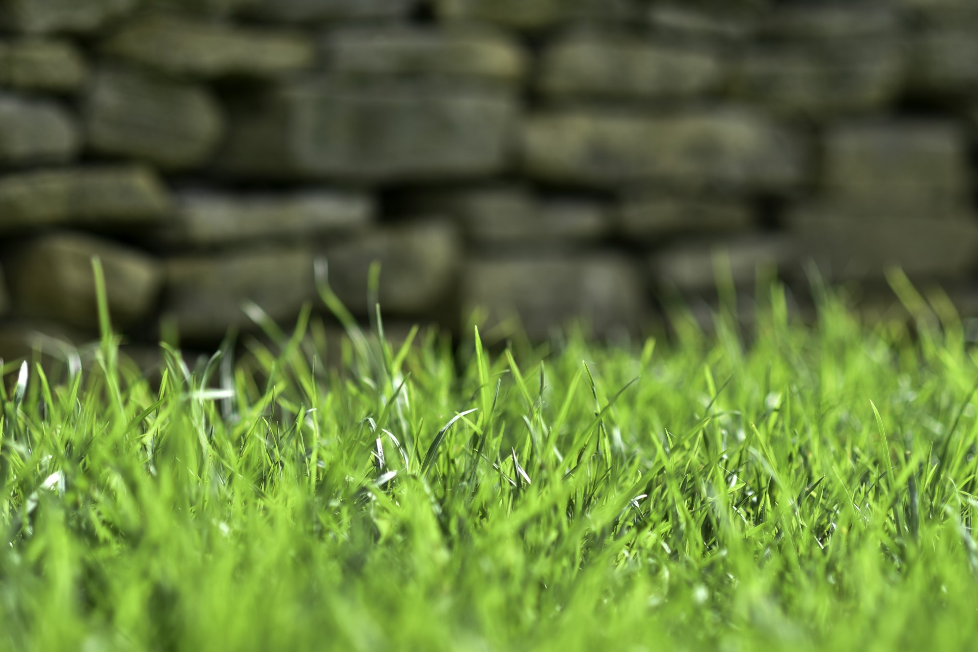 a field of green grass with a stone wall in the background