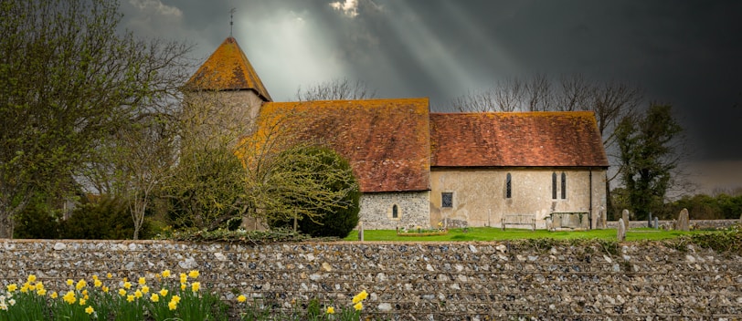 a church with a stone wall and a field of daffodils