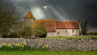 a church with a stone wall and a field of daffodils