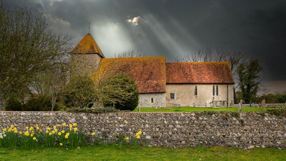 a church with a stone wall and a field of daffodils